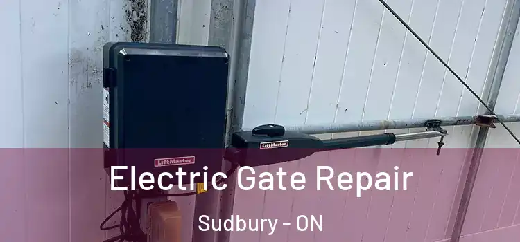  Electric Gate Repair Sudbury - ON
