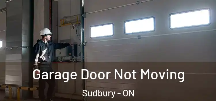  Garage Door Not Moving Sudbury - ON