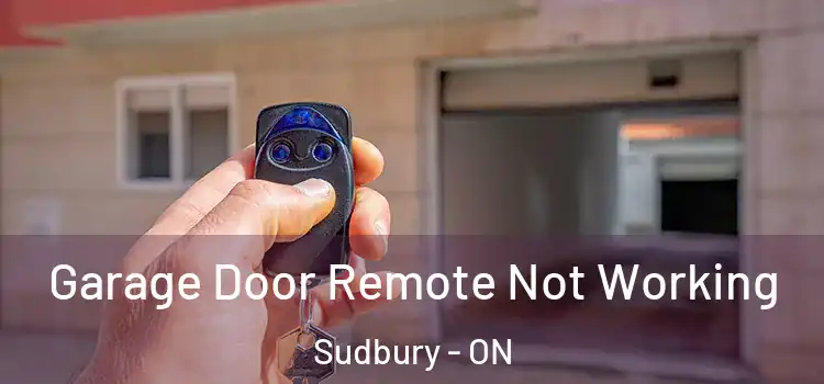 Garage Door Remote Not Working Sudbury - ON