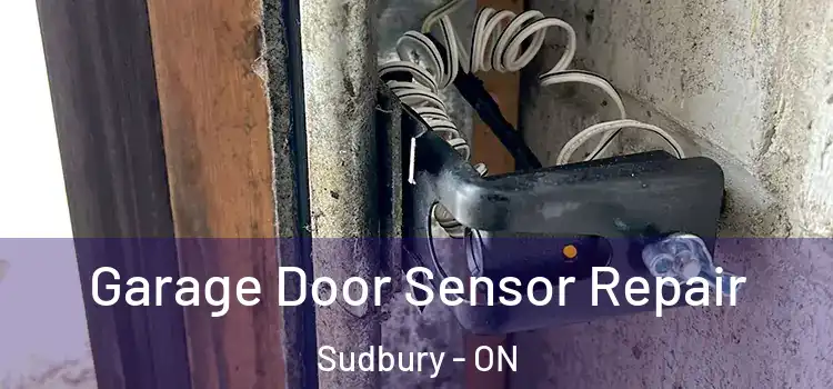 Garage Door Sensor Repair Sudbury - ON