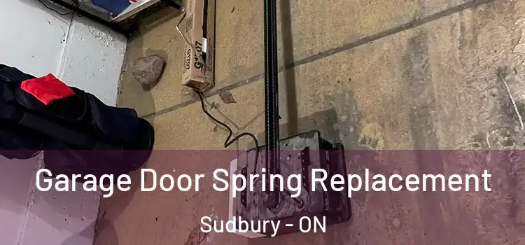  Garage Door Spring Replacement Sudbury - ON